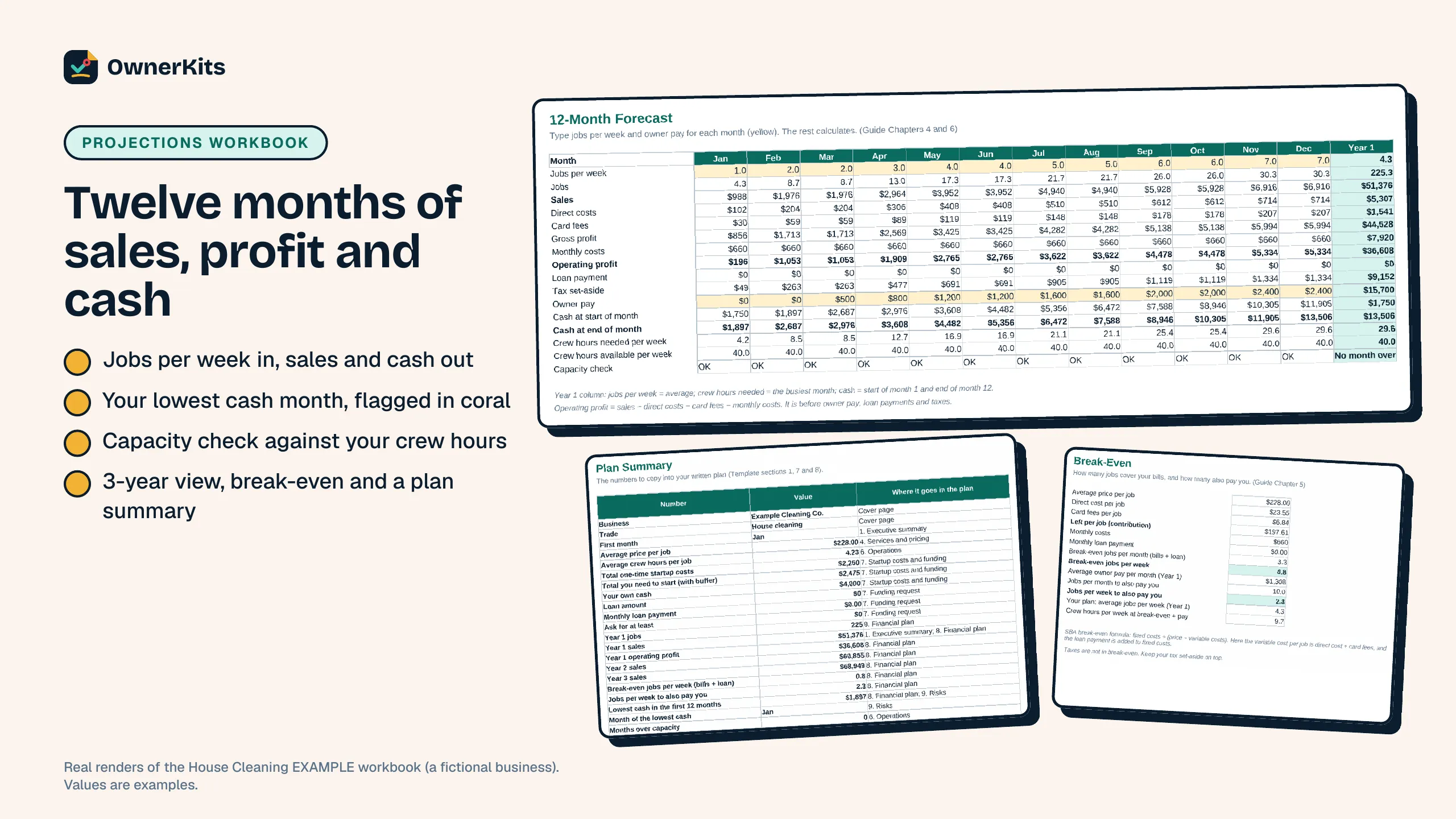 Financial projections workbook: 12-month forecast, plan summary and break-even tabs for an example cleaning business