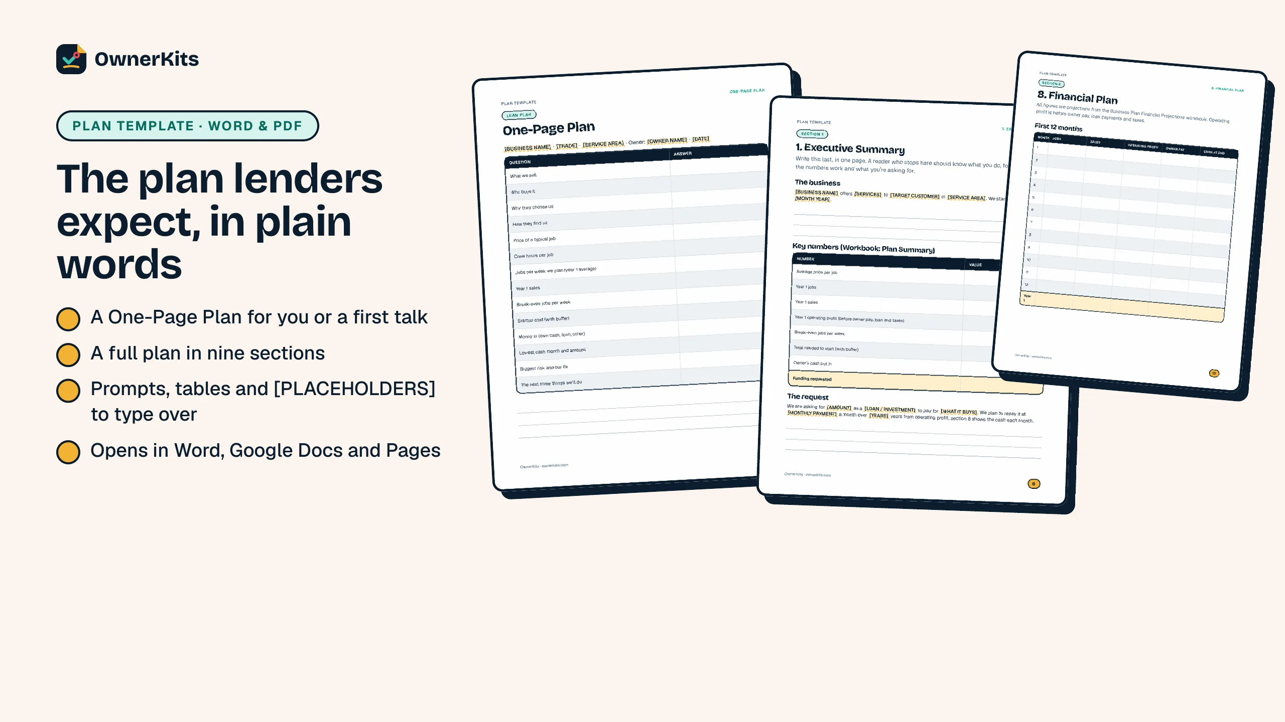 Plan template pages: One-Page Plan, executive summary and financial plan sections